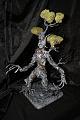 Shagbark Hickory Longstrider